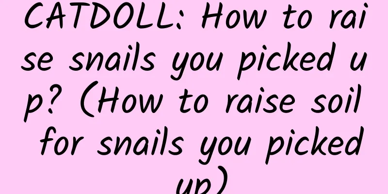 CATDOLL: How to raise snails you picked up? (How to raise soil for snails you picked up)