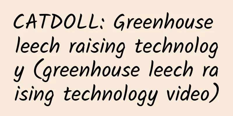 CATDOLL: Greenhouse leech raising technology (greenhouse leech raising technology video)