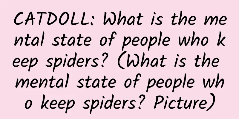 CATDOLL: What is the mental state of people who keep spiders? (What is the mental state of people who keep spiders? Picture)