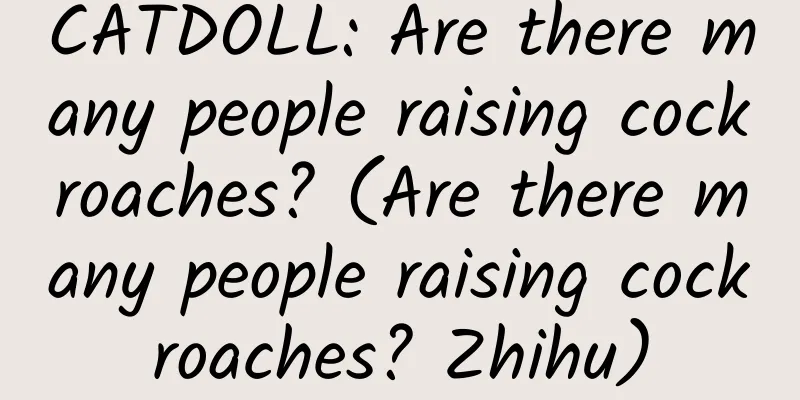 CATDOLL: Are there many people raising cockroaches? (Are there many people raising cockroaches? Zhihu)