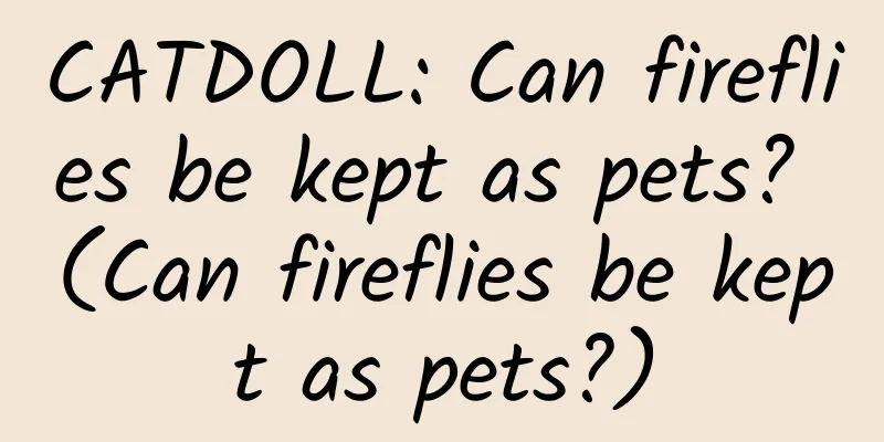 CATDOLL: Can fireflies be kept as pets? (Can fireflies be kept as pets?)