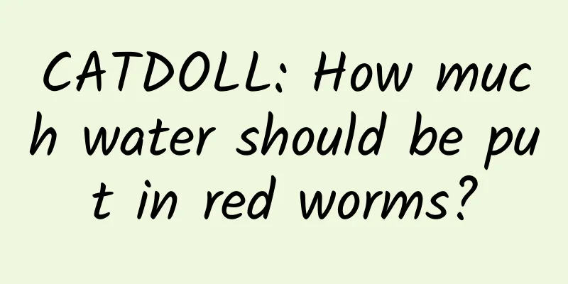 CATDOLL: How much water should be put in red worms?