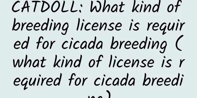 CATDOLL: What kind of breeding license is required for cicada breeding (what kind of license is required for cicada breeding)