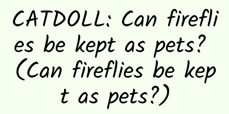 CATDOLL: Can fireflies be kept as pets? (Can fireflies be kept as pets?)
