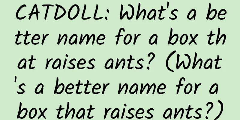 CATDOLL: What's a better name for a box that raises ants? (What's a better name for a box that raises ants?)