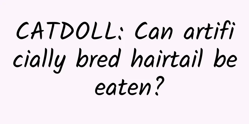 CATDOLL: Can artificially bred hairtail be eaten?