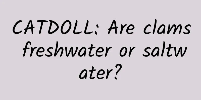 CATDOLL: Are clams freshwater or saltwater?
