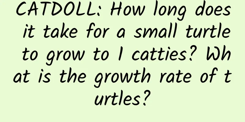 CATDOLL: How long does it take for a small turtle to grow to 1 catties? What is the growth rate of turtles?