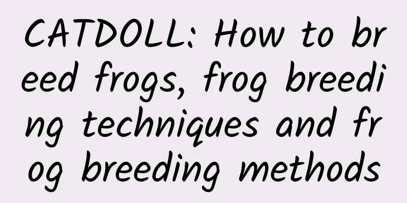 CATDOLL: How to breed frogs, frog breeding techniques and frog breeding methods