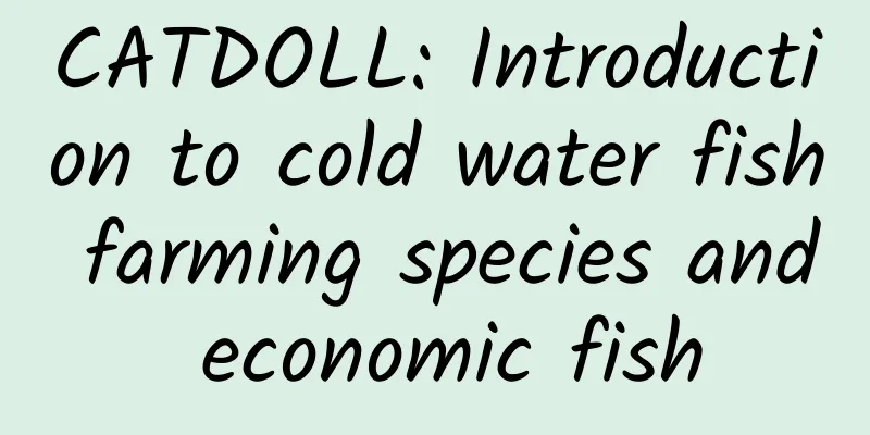 CATDOLL: Introduction to cold water fish farming species and economic fish