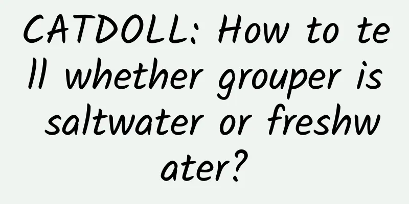 CATDOLL: How to tell whether grouper is saltwater or freshwater?