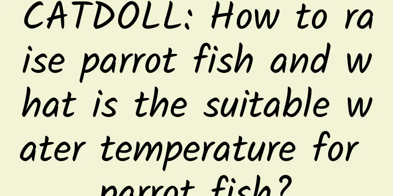 CATDOLL: How to raise parrot fish and what is the suitable water temperature for parrot fish?