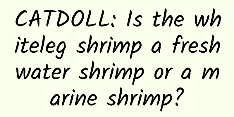 CATDOLL: Is the whiteleg shrimp a freshwater shrimp or a marine shrimp?