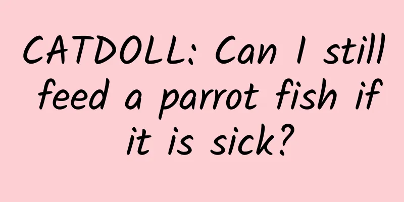 CATDOLL: Can I still feed a parrot fish if it is sick?