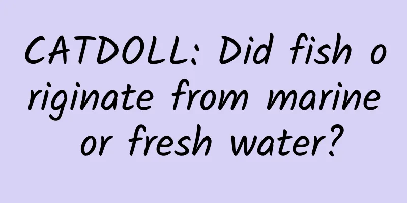 CATDOLL: Did fish originate from marine or fresh water?