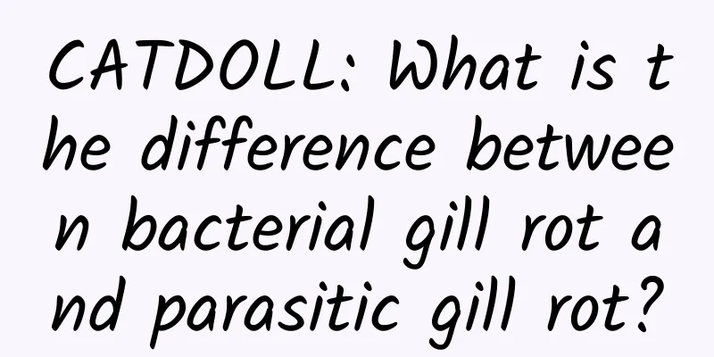 CATDOLL: What is the difference between bacterial gill rot and parasitic gill rot?