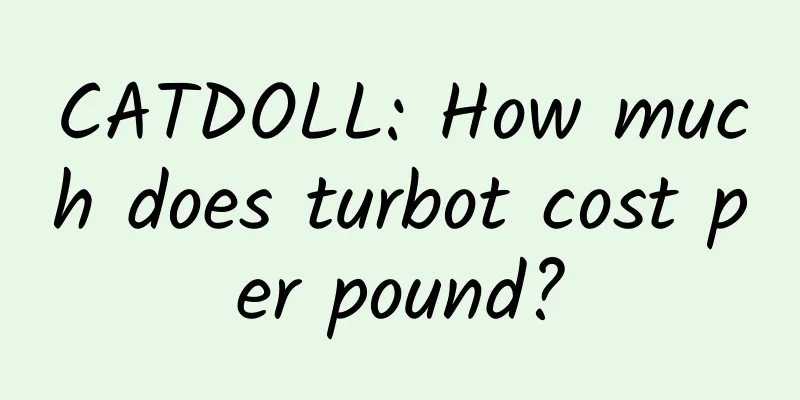 CATDOLL: How much does turbot cost per pound?