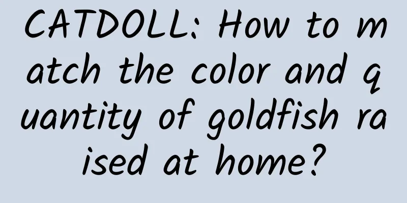 CATDOLL: How to match the color and quantity of goldfish raised at home?
