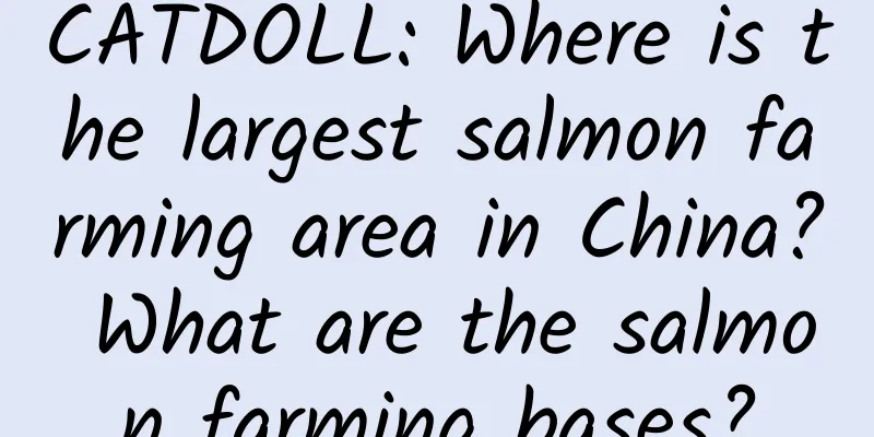 CATDOLL: Where is the largest salmon farming area in China? What are the salmon farming bases?