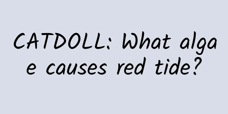 CATDOLL: What algae causes red tide?
