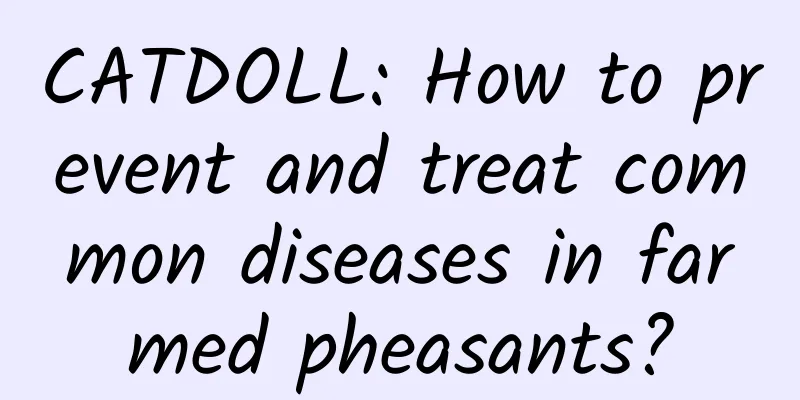 CATDOLL: How to prevent and treat common diseases in farmed pheasants?