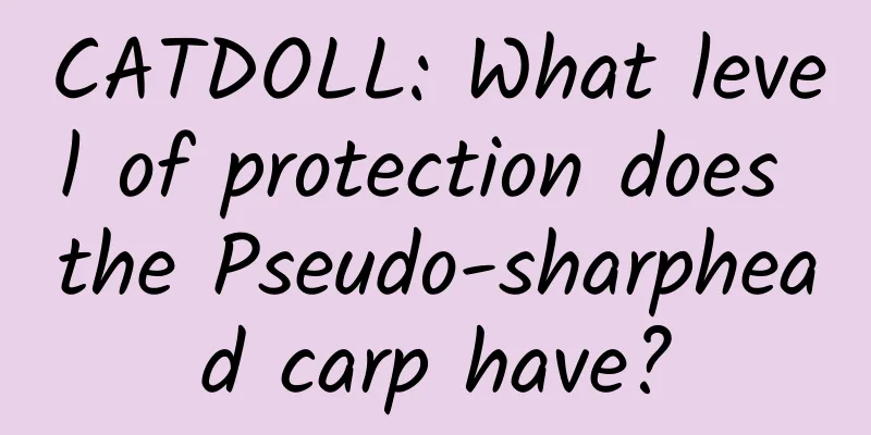 CATDOLL: What level of protection does the Pseudo-sharphead carp have?