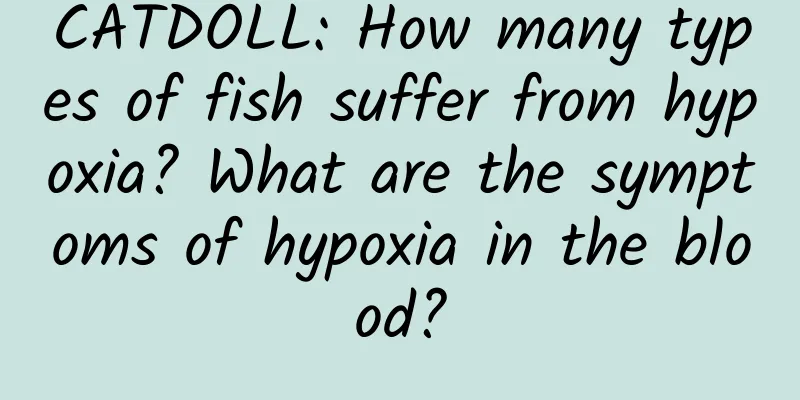 CATDOLL: How many types of fish suffer from hypoxia? What are the symptoms of hypoxia in the blood?