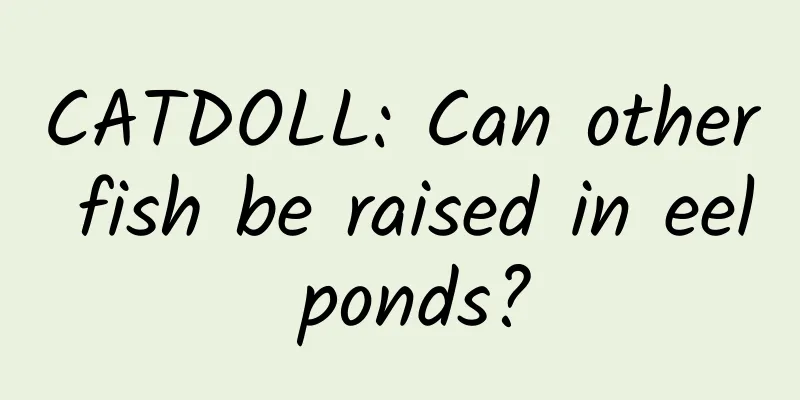 CATDOLL: Can other fish be raised in eel ponds?