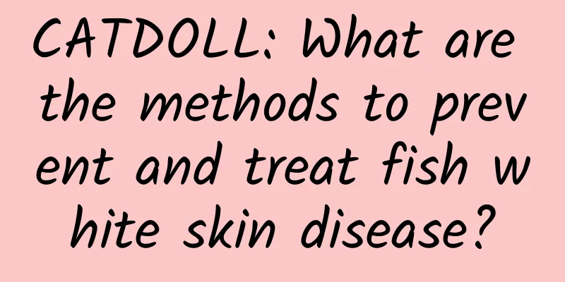 CATDOLL: What are the methods to prevent and treat fish white skin disease?