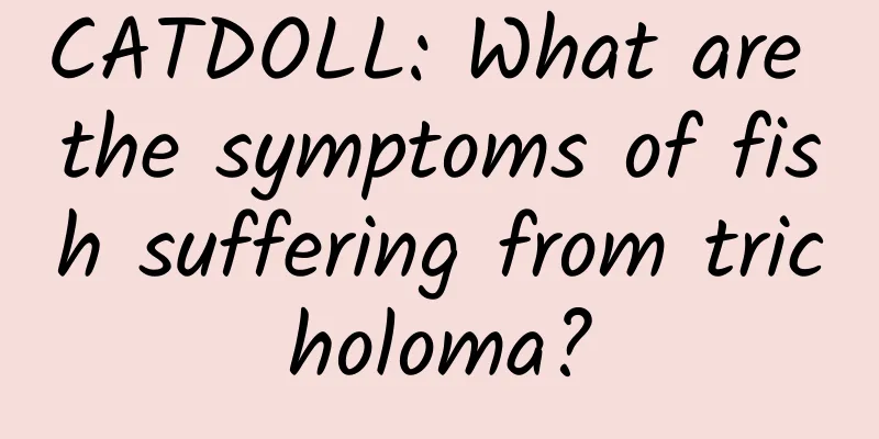 CATDOLL: What are the symptoms of fish suffering from tricholoma?