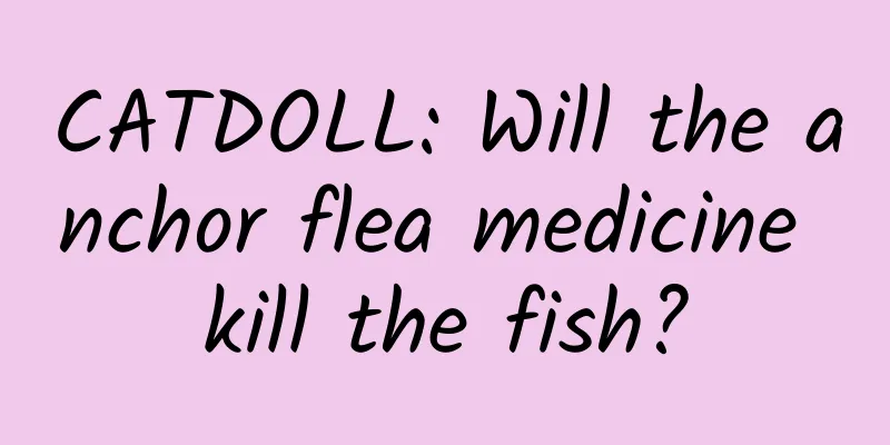 CATDOLL: Will the anchor flea medicine kill the fish?