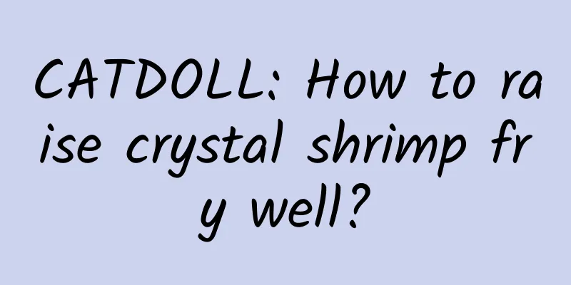 CATDOLL: How to raise crystal shrimp fry well?