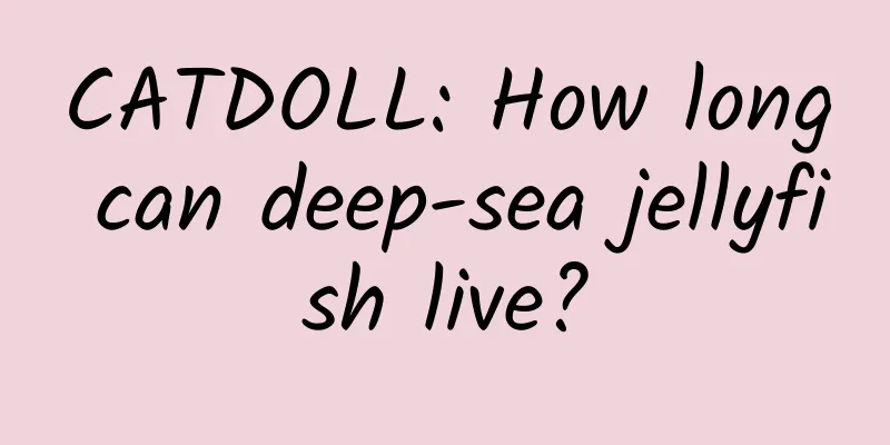 CATDOLL: How long can deep-sea jellyfish live?