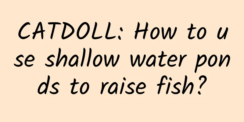 CATDOLL: How to use shallow water ponds to raise fish?