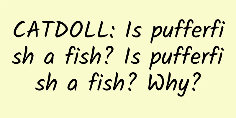 CATDOLL: Is pufferfish a fish? Is pufferfish a fish? Why?