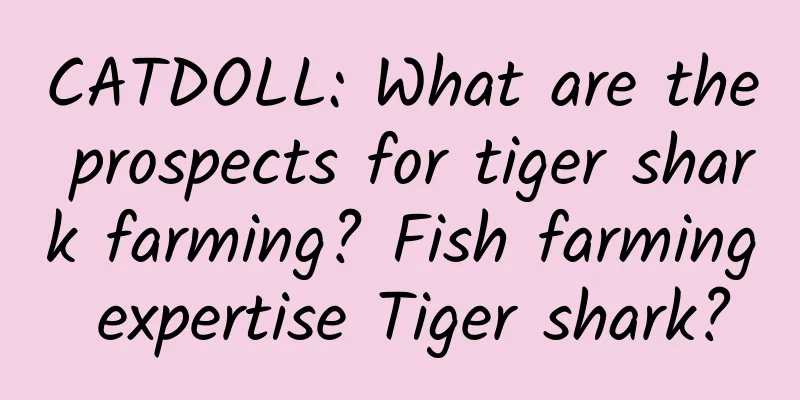 CATDOLL: What are the prospects for tiger shark farming? Fish farming expertise Tiger shark?