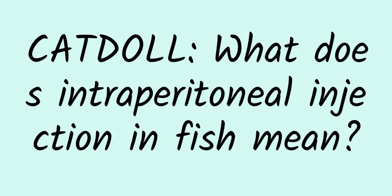 CATDOLL: What does intraperitoneal injection in fish mean?