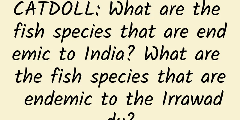 CATDOLL: What are the fish species that are endemic to India? What are the fish species that are endemic to the Irrawaddy?