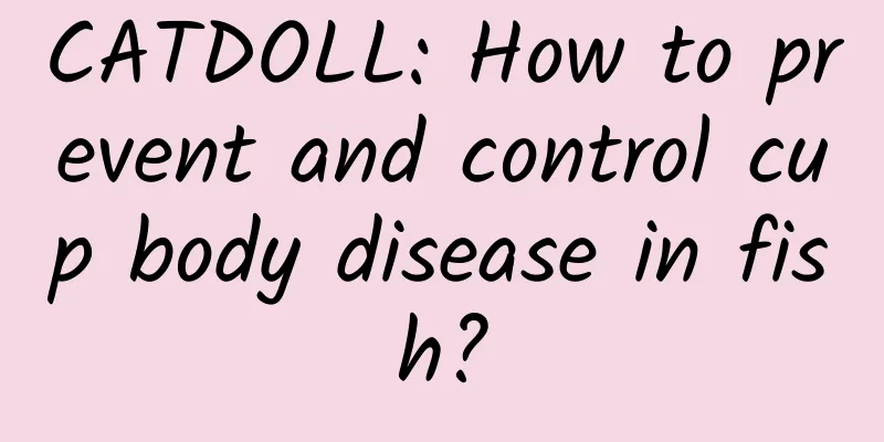 CATDOLL: How to prevent and control cup body disease in fish?