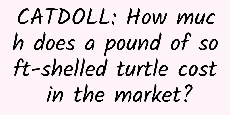 CATDOLL: How much does a pound of soft-shelled turtle cost in the market?