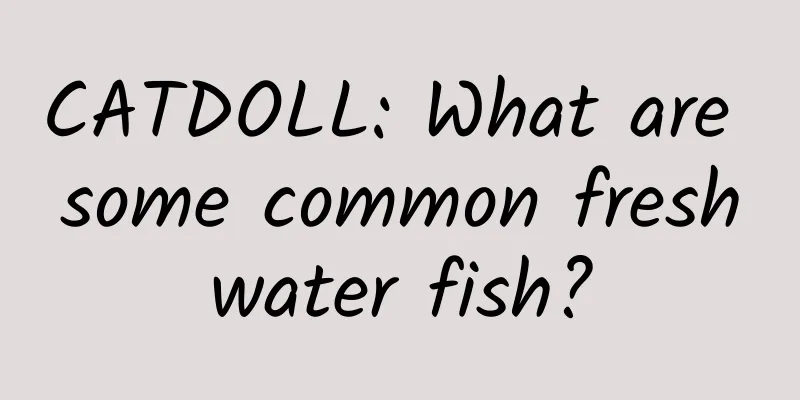 CATDOLL: What are some common freshwater fish?