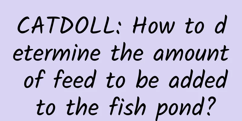 CATDOLL: How to determine the amount of feed to be added to the fish pond?