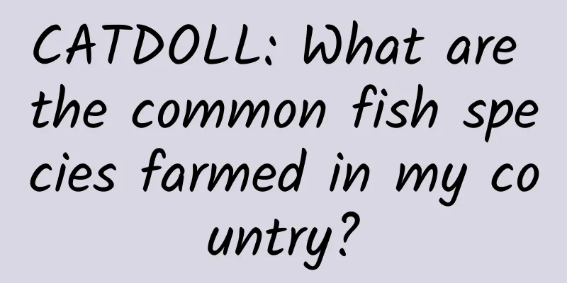 CATDOLL: What are the common fish species farmed in my country?