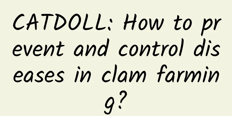 CATDOLL: How to prevent and control diseases in clam farming?