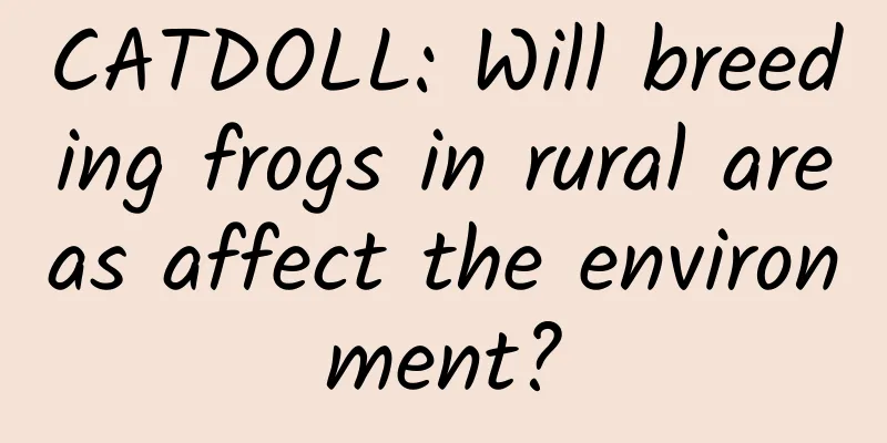 CATDOLL: Will breeding frogs in rural areas affect the environment?