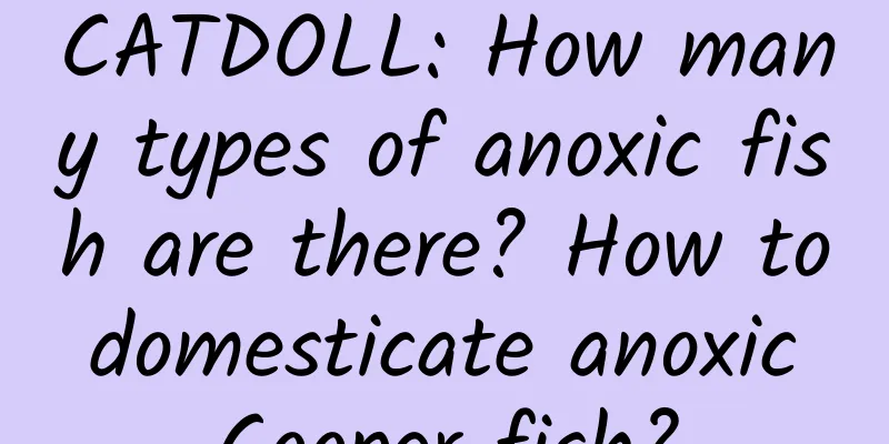 CATDOLL: How many types of anoxic fish are there? How to domesticate anoxic Cooper fish?