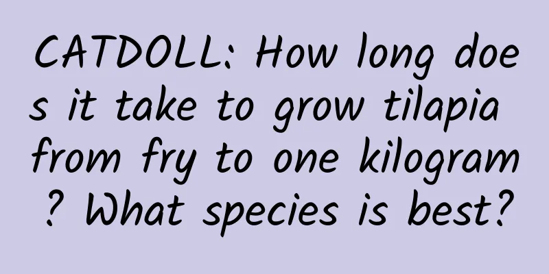 CATDOLL: How long does it take to grow tilapia from fry to one kilogram? What species is best?