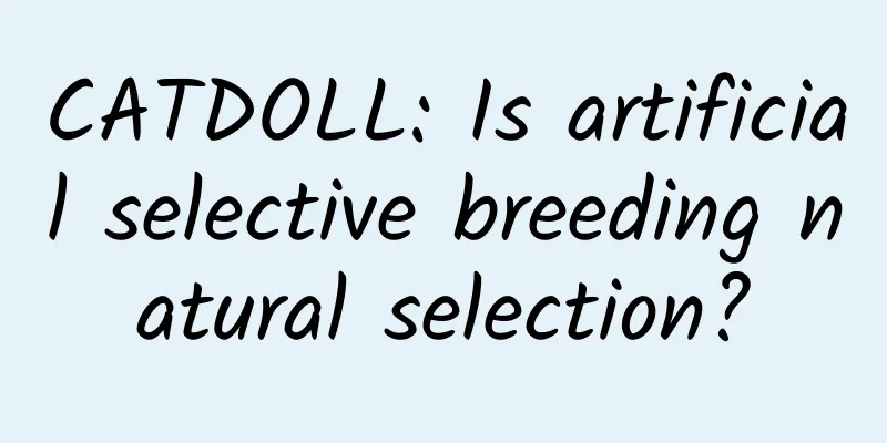 CATDOLL: Is artificial selective breeding natural selection?