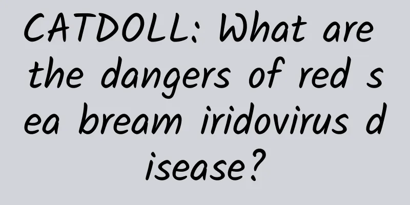 CATDOLL: What are the dangers of red sea bream iridovirus disease?