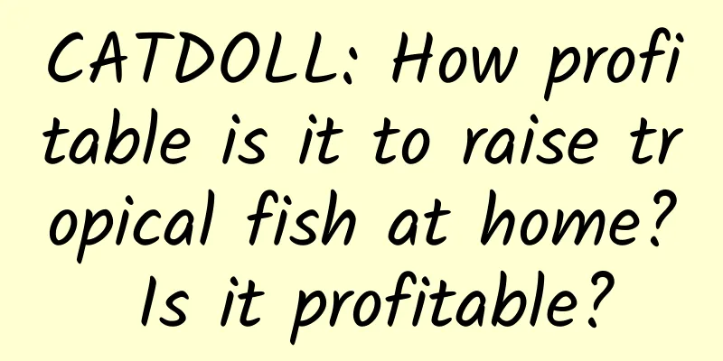 CATDOLL: How profitable is it to raise tropical fish at home? Is it profitable?